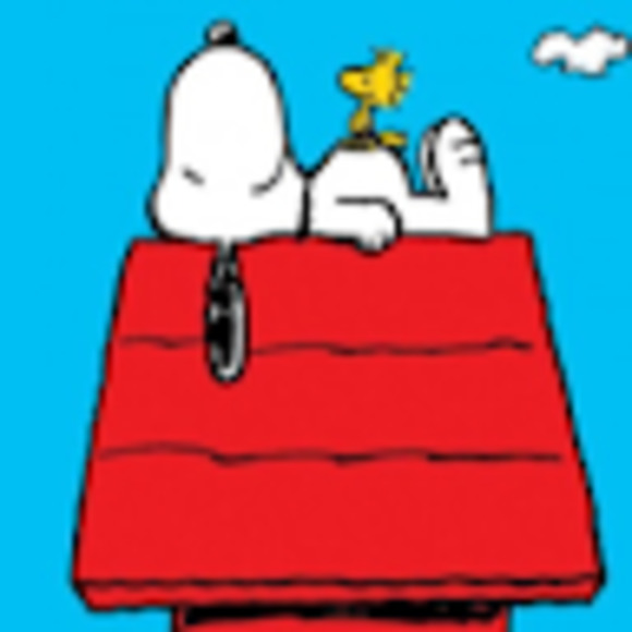 Meet your Posher, Maya - Picture 1 of 1